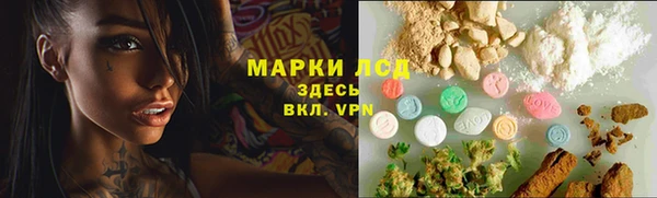 трава Новозыбков