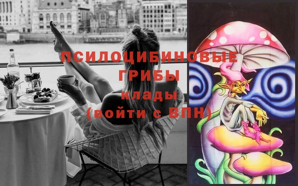 а пвп мука Новодвинск