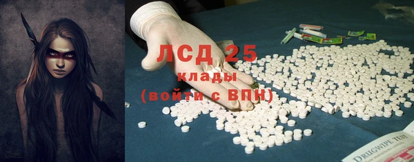 трава Новозыбков