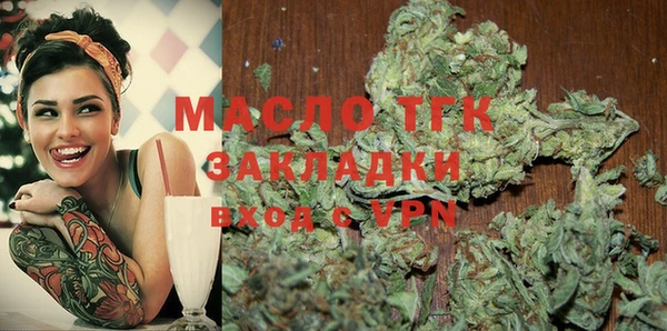 трава Новозыбков