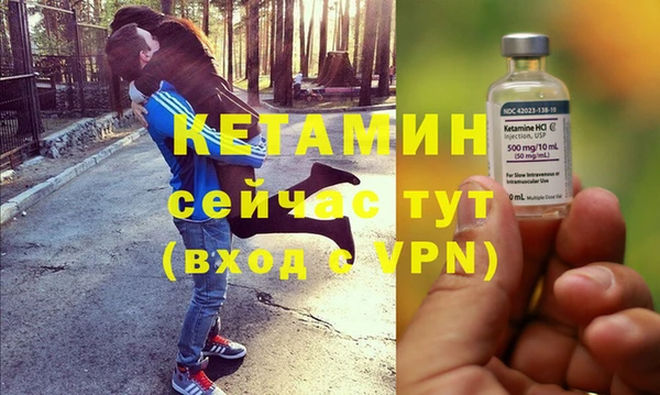 трава Новозыбков