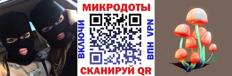 Псилоцибиновые грибы Psilocybine cubensis  Козельск 